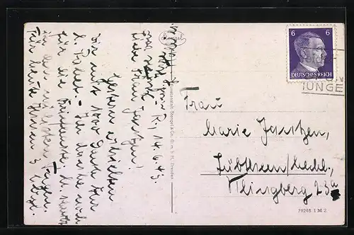 AK Rostock, Ansicht der Universität, Pferdegespann