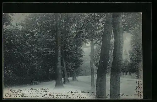 Mondschein-AK Hamburg-Altona, Idylle in der Elbchaussee