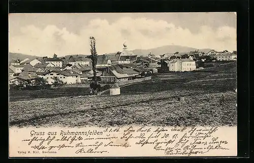 AK Ruhmannsfelden, Blick über die Felder auf den Ort