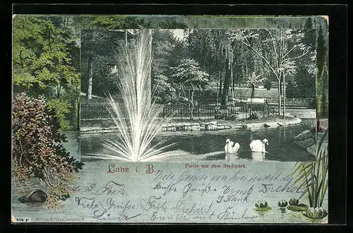 AK Lahr i. B., Partie im Stadtpark, Fontäne mit Schwänen