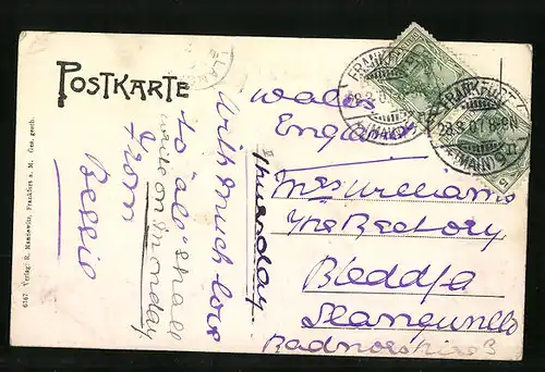 AK Alt-Frankfurt, Eiserner Steg mit Weidenkätzchen