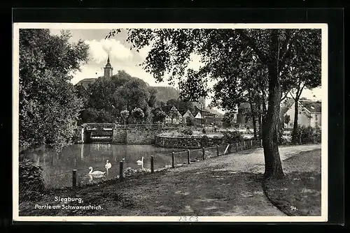 AK Siegburg, Partie am Schwanenteich