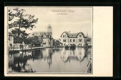 AK Neustadt a. Orla, Der Gamsenteich mit Kirche
