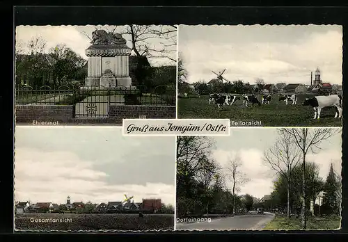 AK Jemgum /Ostfr., Ortsansicht, Ehrenmal u. Rinder auf der Weide