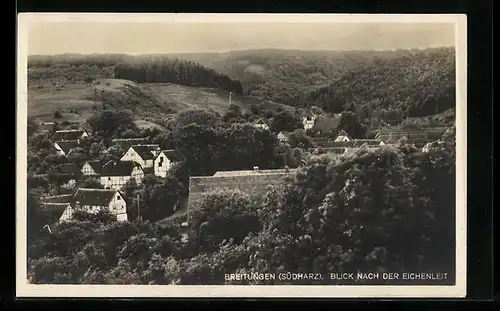 AK Breitungen /Südharz, Blick nach der Eichenleit