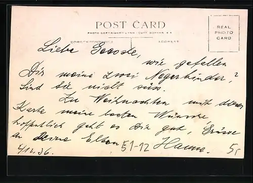 AK Eve and the Eggs!