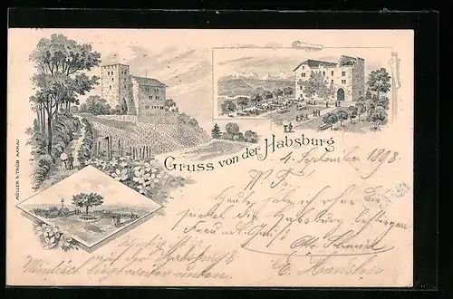 Lithographie Habsburg, Blick aufs Schloss und Weinberg