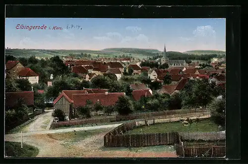 AK Elbingerode / Harz, Totalansicht