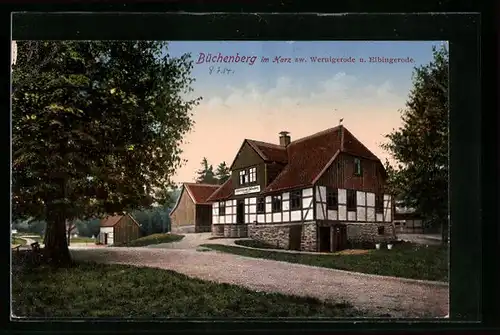 AK Elbingerode im Harz, Gasthaus Büchenberg