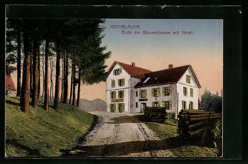 AK Badenweiler /Schwarzwald, Hotel u. Pension Hochblauen