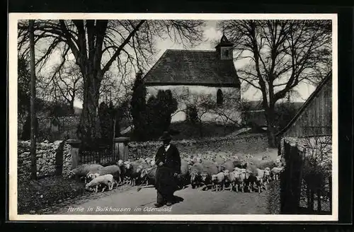AK Balkhausen / Odw., Blick zur Kirche, Schäfer mit seiner Herde