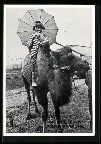 AK Zirkus-Clown auf einem Kamel