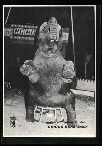 AK Berlin, Erinnerung an Zirkus Renz, sitzender Elefant