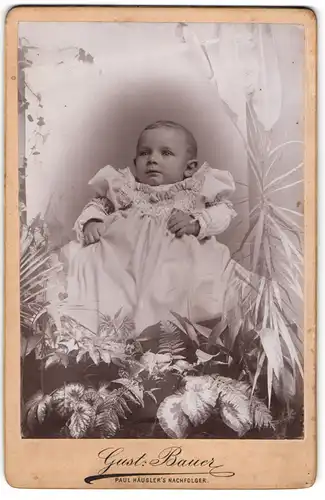 Fotografie Gust. Bauer, Apolda, Ackerwand 34, Baby im Taufkleid, von Pflanzen eingerahmt