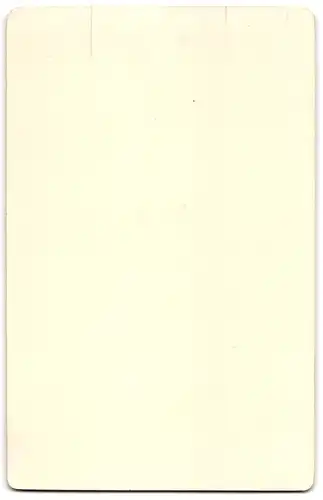 Fotografie O. von Zabuesnig, Kempten, Dame mit Duttfrisur, floraler Brosche und Puffärmeln