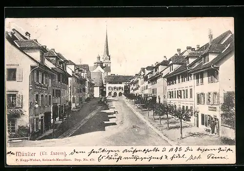 AK Münster, Strassenpartie mit einsamen Hund