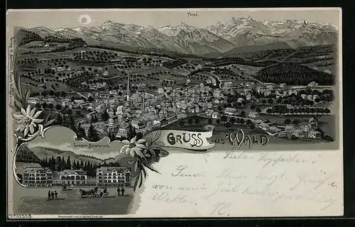 Mondschein-Lithographie Wald, Totalansicht mit Alpenkulisse, Lungen Sanatorium