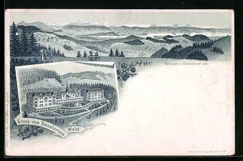 Lithographie Wald, Ansicht vom Sanatorium Wald, Fernsicht auf die Alpen