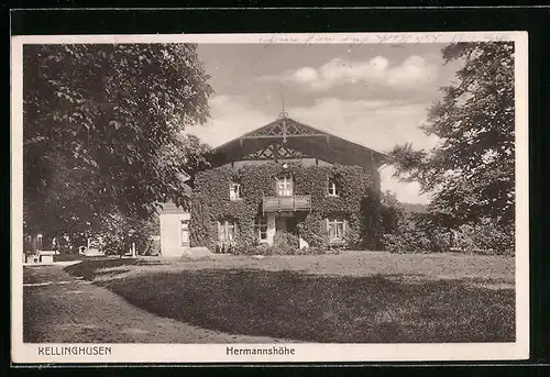 AK Kellinghusen, Haus Hermannshöhe mit Strasse