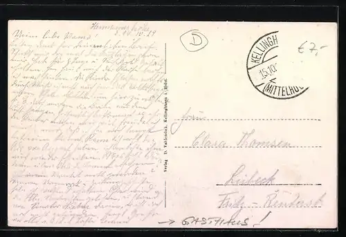 AK Kellinghusen, Haus Hermannshöhe mit Strasse