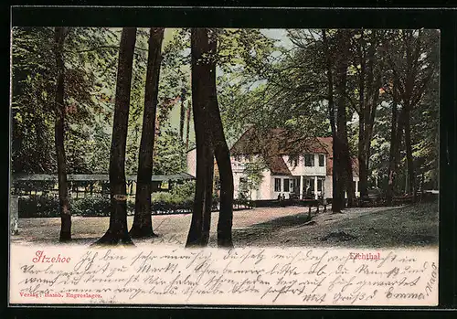 AK Itzehoe, Gasthaus Eichthal mit Strasse und Garten