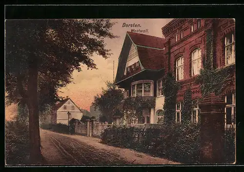 AK Dorsten, Strasse am Westwall mit Baum