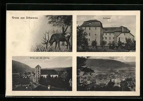 AK Schwarza, Totalansicht, Kirche, Schloss