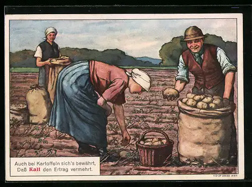 Künstler-AK Reklame für Kali-Dünger, Bauern bei der Kartoffelernte