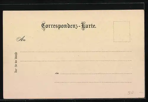 Lithographie Wiener Neustadt, Spinnerin am Kreuz, Militärakademie, Locomotiv- und Maschinenfabrik, Rathaus
