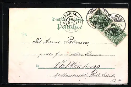 Lithographie Rüdesheim am Rhein, Totalansicht aus der Vogelschau, Nationaldenkmal, Strassenpartie