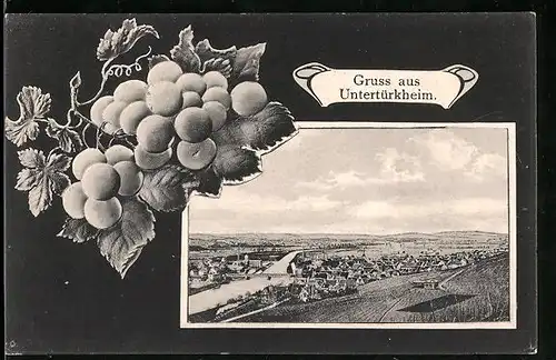 AK Untertürkheim, Panoramablick auf den Ort und ins Land, Weintrauben
