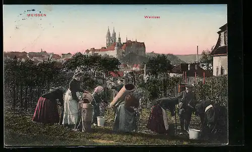 AK Meissen, Bauern bei der Weinlese