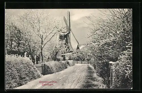 AK Elmshorn, Graupenmühle im Schnee