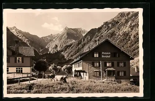 AK Spielmannsau, Hotel-Pension Berghof mit Gebirgspanorama