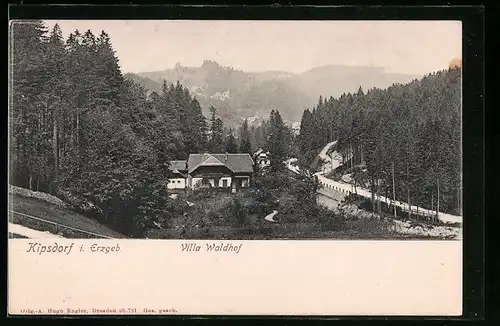 AK Kipsdorf i. Erzgeb., Blick auf Villa Waldhof