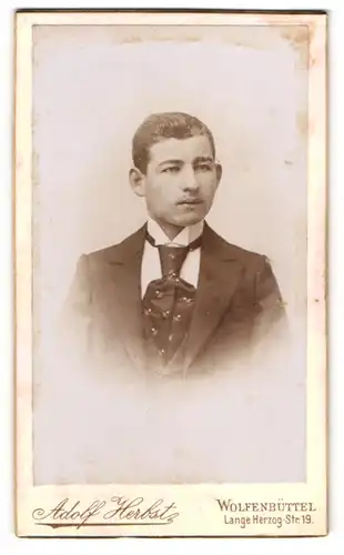Fotografie Adolf Herbst, Wolfenbüttel, Lange Herzog Str. 19, Portrait Hermann Schuster im Anzug mit Krawatte