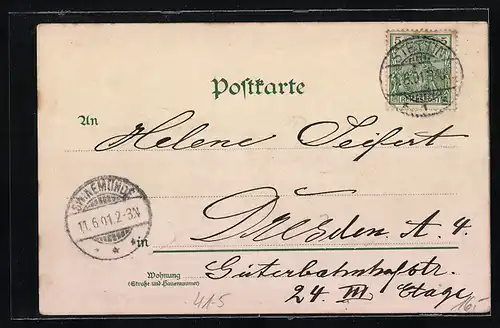 Lithographie Salon-Schnelldampfer Sequens in voller Fahrt