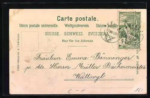 Lithographie Nesslau, Totalansicht, Vorderer Giessenfall, Dorfplatz