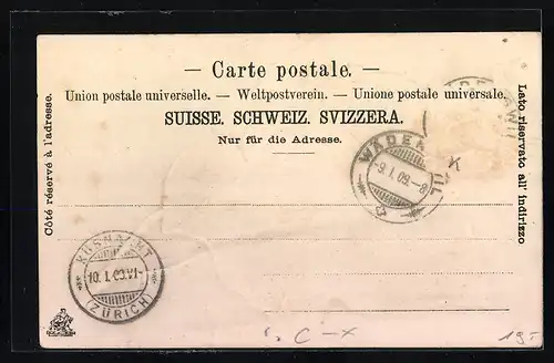 Lithographie Wädensweil, Ortsansicht mit Efeuzweig