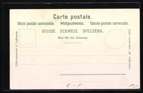 Lithographie Wädenswil, Gasthof zum Engel, Gossners Schloss, Dampfboot