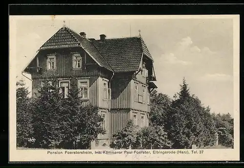AK Elbingerode /Harz, Pension Foerstersheim P. Foerster