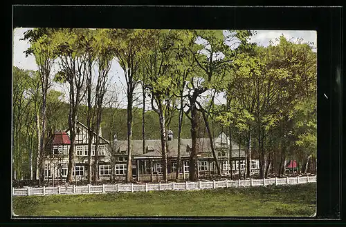 AK Bad Schwartau, Gaststätte Waldhalle O. Witt, Gartenansicht