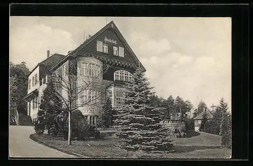 AK Gohrisch /Sa., Erholungsheim Haidehof - Frontansicht