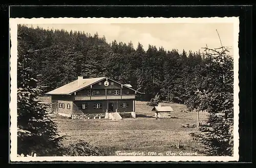 AK Mauth /Bay. Ostmark, Gasthaus Tummelplatz