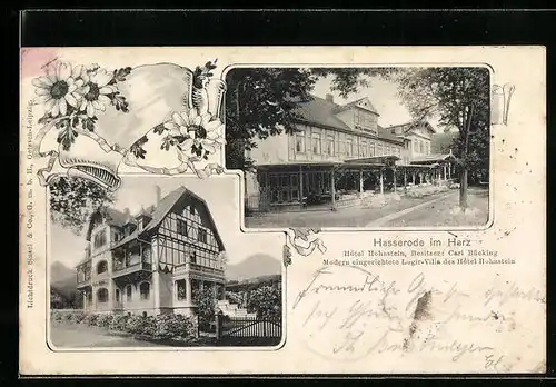 Passepartout-AK Hasserode /Harz, Hotel Hohnstein C. Bücking und Logier-Villa des Hotels