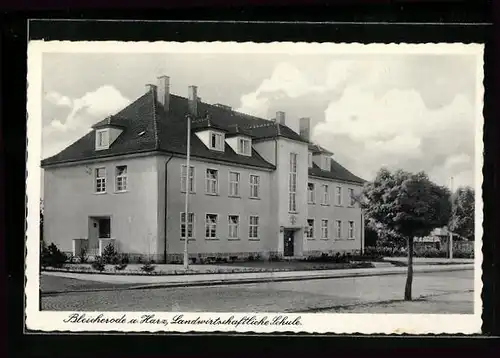AK Bleicherode a. Harz, Landwirtschaftliche Schule mit Strasse
