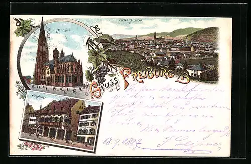 Lithographie Freiburg i. Br., Panorama, Münster, Kaufhaus