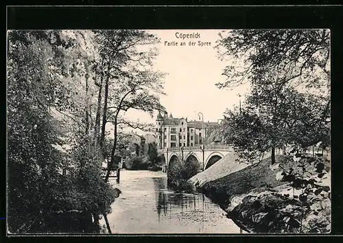 AK Berlin-Köpenick, Partie an der Spree mit Brücke Uferböschung