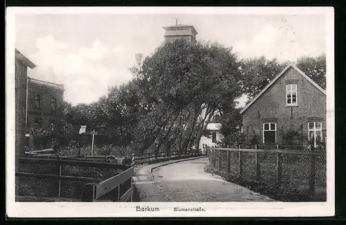 AK Borkum, Ortspartie aus der Blumenstrasse