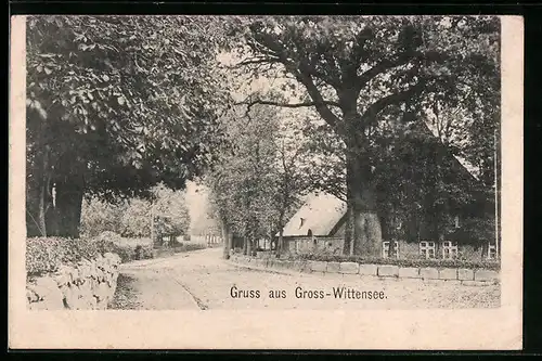 AK Gross-Wittensee, Strassenpartie aus der Ortschaft